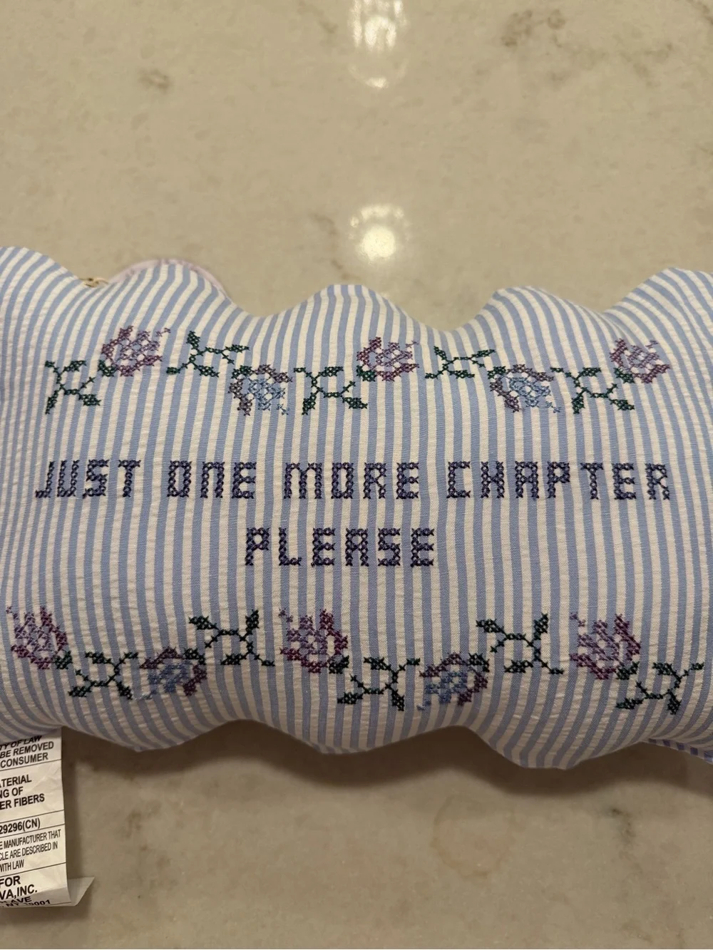Embroidered 'Just One More Chapter Please' Decorative Pillow - Blue Stripe